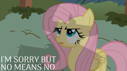 Size: 1280x720 | Tagged: safe, edit, edited screencap, editor:quoterific, imported from derpibooru, screencap, fluttershy, pegasus, pony, putting your hoof down, season 2, female, implied iron will, implied male, mare, offscreen character, open mouth, shadow, solo