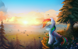 Size: 5000x3167 | Tagged: safe, artist:atlas-66, edit, imported from derpibooru, rainbow dash, pegasus, pony, canterlot, cliff, cloud, cute, dashabetes, eyes closed, female, forest, high res, mare, outdoors, profile, scenery, scenery porn, side view, sitting, smiling, solo, sun, tree