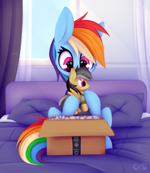 Size: 1215x1398 | Tagged: safe, artist:omi, imported from derpibooru, daring do, rainbow dash, pegasus, pony, amazon, bed, bedroom, box, curtains, female, g4, hoof hold, mare, package, packing peanuts, pillow, plushie, solo, unboxing, window