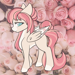 Size: 2000x2000 | Tagged: safe, artist:billysan727, imported from derpibooru, oc, oc only, oc:naussica rose, pegasus, pony, blue eyes, coat markings, colored pupils, colored wings, colored wingtips, elegant, eyebrows, eyebrows visible through hair, eyelashes, flower, fluffy, folded wings, hair bun, high res, lidded eyes, long tail, looking at you, multicolored mane, multicolored tail, pale belly, pegasus oc, real life background, rose, side view, smiling, smiling at you, socks (coat markings), solo, tail, tail bun, two toned wings, wing fluff, wings