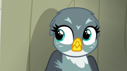 Size: 1000x563 | Tagged: safe, imported from derpibooru, screencap, gabby, griffon, the fault in our cutie marks, solo