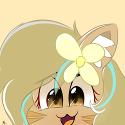 Size: 1000x1000 | Tagged: safe, artist:grithcourage, imported from derpibooru, oc, oc only, oc:grith courage, cat, earth pony, pony, adorable face, cheering, cute, ear fluff, flower, flower in hair, happy, simple, simple background, solo