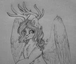 Size: 1134x959 | Tagged: safe, artist:skior, imported from derpibooru, oc, oc:devotee, pegasus, pony, antlers, female, mare, monochrome, solo, traditional art