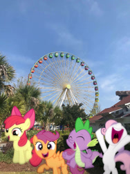 Size: 774x1032 | Tagged: safe, edit, editor:undeadponysoldier, imported from ponybooru, photographer:undeadponysoldier, apple bloom, scootaloo, spike, sweetie belle, dragon, earth pony, pegasus, pony, unicorn, :d, adorabloom, amusement park, bow, broadway at the beach, carnival ride, cute, cutealoo, diasweetes, dragons in real life, excited, female, ferris wheel, filly, group photo, hair bow, happy, irl, jumping, male, mouth wide open, myrtle beach, open mouth, palm tree, photo, ponies in real life, spikabetes, they grow up so fast, tree, vacation