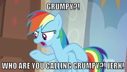 Size: 1066x600 | Tagged: safe, edit, edited screencap, editor:twi clown, imported from derpibooru, screencap, rainbow dash, pegasus, pony, season 8, the hearth's warming club, spoiler:s08, caption, female, grumpy, image macro, mare, solo, text