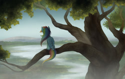 Size: 1024x644 | Tagged: safe, artist:zetamad, imported from derpibooru, rainbow dash, pegasus, pony, beautiful, mountain, painting, river, scenery, scenery porn, sitting in a tree, solo, tree, tree branch