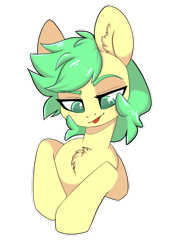 Size: 1280x1825 | Tagged: safe, artist:cloud-fly, imported from derpibooru, oc, oc only, earth pony, pony, bust, chest fluff, female, mare, portrait, simple background, solo, transparent background