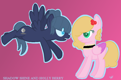 Size: 694x459 | Tagged: safe, artist:yuumirou, imported from derpibooru, oc, oc only, oc:holly berry, oc:shadow shine, pegasus, pony, female, mare, simple background
