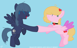 Size: 936x584 | Tagged: safe, artist:yuumirou, imported from derpibooru, oc, oc only, oc:holly berry, oc:shadow shine, pegasus, pony, female, mare, simple background