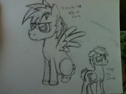 Size: 960x720 | Tagged: safe, artist:zombietator, imported from derpibooru, oc, oc only, pegasus, pony, duo, frown, lineart, male, pegasus oc, stallion, traditional art, wings