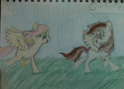 Size: 999x719 | Tagged: safe, alternate version, artist:zombietator, imported from derpibooru, oc, oc only, pegasus, pony, duo, eyelashes, female, looking back, mare, pegasus oc, running, smiling, traditional art, wings