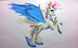 Size: 2495x1536 | Tagged: safe, artist:wixi2000, imported from derpibooru, fluttershy, rainbow dash, pegasus, pony, chest fluff, female, fusion, looking back, mare, multiple wings, rearing, simple background, six wings, smiling, solo, spread wings, traditional art, unshorn fetlocks, white background, wings