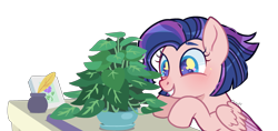 Size: 2795x1318 | Tagged: safe, artist:kurosawakuro, imported from derpibooru, phyllis, oc, oc only, pegasus, pony, base used, female, house plant, mare, philodendron, potted plant, simple background, solo, transparent background