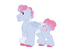 Size: 1280x854 | Tagged: safe, artist:itstechtock, imported from derpibooru, oc, oc only, oc:dust bunny, pegasus, pony, colt, male, parent:blueberry punch, parent:cotton sky, parent:sugar apple, simple background, solo, white background