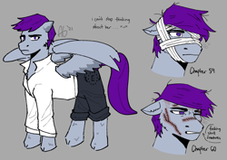Size: 4092x2893 | Tagged: safe, artist:mysteryistaken, imported from derpibooru, oc, oc:dusk, pegasus, pony, fallout equestria, fallout equestria: project horizons, bandage, bandaged eye, clothes, enclave, fanfic art, female, mare, pants, scar, stitches, swearing, vulgar