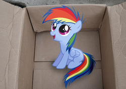 Size: 300x214 | Tagged: safe, artist:oppositebros, imported from derpibooru, rainbow dash, pegasus, pony, fanfic:my little dashie, 2011, box, cardboard box, cropped, cute, dashabetes, female, filly, filly rainbow dash, irl, mare, photo, ponies in real life, pony in a box, solo, vector, younger