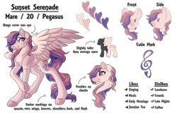 Size: 6114x3906 | Tagged: safe, artist:amazing-artsong, imported from derpibooru, oc, oc only, oc:sunset serenade, pegasus, pony, reference sheet, simple background, solo, transparent background