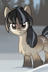 Size: 212x316 | Tagged: safe, artist:marbo, edit, oc, oc only, oc:cold shoulder, pony, chest fluff, cropped, female, mare, snowpony (species), solo, taiga pony