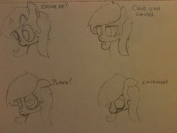 Size: 2048x1536 | Tagged: safe, artist:zombietator, imported from derpibooru, oc, oc only, oc:claire, earth pony, pony, bust, earth pony oc, expressions, lineart, traditional art