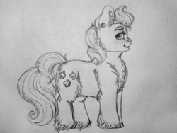 Size: 1280x960 | Tagged: safe, artist:skior, imported from derpibooru, cup cake, pony, monochrome, solo, traditional art