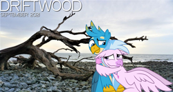 Size: 2064x1105 | Tagged: safe, anonymous artist, artist:ejlightning007arts, imported from derpibooru, gallus, silverstream, classical hippogriff, griffon, hippogriff, 2021, autumn, beach, cloud, driftwood, duet, female, friendship, gallstream, hug, interspecies, looking at each other, lyrics in the description, male, ocean, rock, september, shipping, smiling, song reference, straight, translated in the description, youtube link in the description