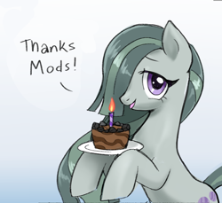 Size: 1138x1043 | Tagged: safe, artist:marbo, imported from ponybooru, marble pie, earth pony, pony, birthday cake, cake, candle, dialogue, female, food, looking at you, mare, open mouth, open smile, smiling, solo, thank you