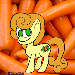 Size: 1000x1000 | Tagged: safe, artist:blinkshake, imported from derpibooru, carrot top, golden harvest, earth pony, pony, background pony, g4, solo