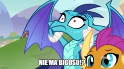 Size: 888x499 | Tagged: safe, edit, edited screencap, imported from derpibooru, screencap, princess ember, smolder, school daze, bigos, caption, faic, hands on head, image macro, meme, poland, polish, spread wings, text, wings