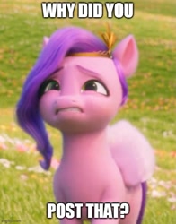 Size: 500x639 | Tagged: safe, edit, edited screencap, imported from derpibooru, screencap, pipp petals, pegasus, pony, spoiler:my little pony: a new generation, 3d, adorapipp, cropped, cute, drama queen pipp, female, g5, image macro, imgflip, mare, meme, my little pony: a new generation, question, sad, sad pony, why would you post that