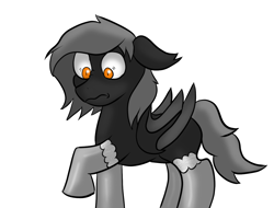 Size: 1280x975 | Tagged: safe, artist:tranzmuteproductions, imported from derpibooru, oc, oc only, oc:tranzmute, bat pony, pony, bat pony oc, bat wings, clothes, looking down, male, simple background, socks, solo, stallion, white background, wide eyes, wings