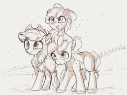 Size: 1548x1166 | Tagged: safe, artist:aureai-sketches, imported from derpibooru, apple bloom, applejack, big macintosh, earth pony, pony, adorabloom, apple siblings, apple sisters, blush sticker, blushing, brother and sister, chest fluff, cute, ear fluff, female, filly, jackabetes, macabetes, male, mare, open mouth, open smile, siblings, sisters, smiling, stallion