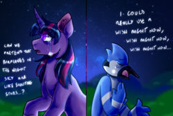 Size: 3000x2000 | Tagged: safe, artist:eternalthemandarin06, imported from derpibooru, twilight sparkle, anthro, bird, blue jay, pony, unicorn, airplanes (song), anthro with ponies, crossover, crossover shipping, crying, duo, eyes closed, female, high res, male, mare, meme, mordecai, mordetwi, night, no more ponies at source, open mouth, redraw mordetwi meme, regular show, shipping, straight, unicorn twilight