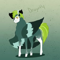 Size: 2000x2000 | Tagged: safe, artist:inisealga, imported from derpibooru, oc, oc only, oc:dragonfly, high res, magical lesbian spawn, male, markings, offspring, parent:fluttershy, parent:lightning dust, parents:flutterdust (pairing), stallion