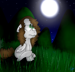 Size: 960x927 | Tagged: safe, artist:millefaller, imported from derpibooru, oc, oc only, pegasus, pony, 2016, female, floppy ears, full moon, mare, moon, night, outdoors, pegasus oc, sad, signature, solo, stars, wings