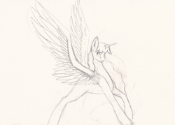 Size: 1203x863 | Tagged: safe, artist:penrosa, imported from derpibooru, twilight sparkle, alicorn, pony, female, horn, lineart, mare, solo, traditional art, twilight sparkle (alicorn), wings