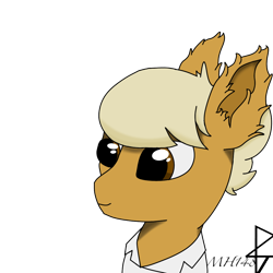 Size: 1000x1000 | Tagged: safe, artist:mh148, imported from derpibooru, oc, oc only, oc:osgood canley, earth pony, pony, fallout equestria, bust, clothes, ear fluff, lab coat, simple background, solo, transparent background