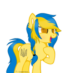 Size: 667x739 | Tagged: safe, artist:fioweress, imported from derpibooru, oc, oc:ukraine, pony, nation ponies, ponified, solo, ukraine