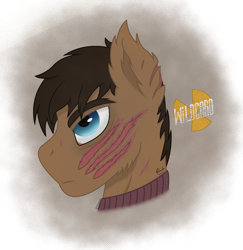 Size: 1040x1070 | Tagged: safe, artist:lonewriter, imported from derpibooru, oc, oc:wildcard, earth pony, pony, fallout equestria, bust, crossover, fallout equestria: all roads lead home, metro, metro 2033, portrait, roadside picnic, s.t.a.l.k.e.r., scar, simple background, stalker, tired