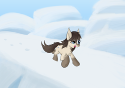 Size: 4960x3508 | Tagged: safe, artist:wapamario63, imported from derpibooru, oc, oc only, oc:frosty flakes, pony, chest fluff, female, fluffy, hoofprints, mare, open mouth, open smile, outdoors, running, smiling, snow, snow mare, snowpony (species), solo, taiga pony, three quarter view, yakutian horse