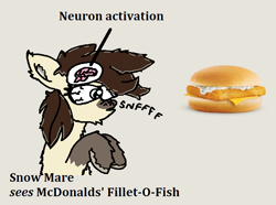 Size: 694x517 | Tagged: artist needed, source needed, safe, artist:anonymous, imported from derpibooru, oc, oc only, pony, brown mane, female, fluffy, food, mcdonald's, meme, ms paint, neuron activation, sandwich, snow mare, snowmare, snowpony (species), solo, taiga pony, yakutian horse