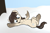 Size: 1324x887 | Tagged: safe, artist:wenni, oc, oc only, earth pony, pony, lying down, smiling, snow, snowball, snowmare, snowpony (species), taiga pony, tree, yakutian horse