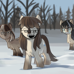 Size: 887x887 | Tagged: safe, artist:anonymous, artist:marbo, edit, oc, oc only, oc:cold shoulder, oc:frosty flakes, oc:winter wonder, earth pony, pony, snow pony, snowpony (species), taiga pony, wojak