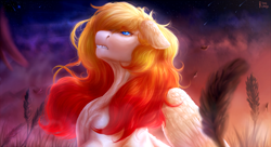 Size: 2000x1088 | Tagged: safe, artist:raychelrage, imported from derpibooru, oc, oc only, oc:hotfix, pegasus, pony, sky, solo