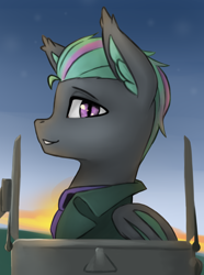 Size: 3120x4200 | Tagged: safe, artist:闪电_lightning, imported from derpibooru, oc, oc only, bat pony, equestria at war mod