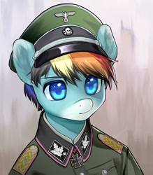 Size: 1756x2008 | Tagged: safe, artist:frederick baron's profile, imported from derpibooru, oc, pegasus, clothes, germany, nazi, nazi germany, not rainbow dash, panzer, swastika, tank officer, the new order, uniform