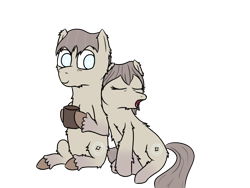 Size: 1600x1200 | Tagged: safe, artist:everfreeemergencies, oc, oc only, oc:polaris, pony, brother and sister, cup, duo, female, food, hoof hold, male, mare, siblings, simple background, sitting, sleeping, smiling, snowpony (species), stallion, taiga pony, tea, transparent background, twins