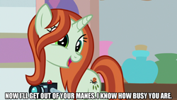 Size: 1280x720 | Tagged: safe, edit, edited screencap, editor:jaredking203, imported from derpibooru, screencap, crackle cosette, queen chrysalis, pony, unicorn, season 8, spoiler:s08, caption, disguise, disguised changeling, female, image macro, mare, meme, solo, text