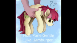 Size: 1920x1080 | Tagged: safe, artist:yakovlev-vad, edit, editor:band sickle, editor:bandwidth, editor:kanw, imported from derpibooru, lily, lily valley, roseluck, earth pony, human, pony, animated, behaving like a cat, burger, confused, cute, cuteluck, disembodied hand, female, food, hamburger, hand, hold x gentle like hamburger, holding a pony, mare, meme, nom, offscreen character, question mark, rosabetes, rosepet, shitposting, sound, vore, webm