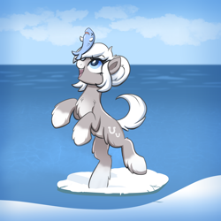 Size: 4000x4000 | Tagged: safe, alternate version, artist:confetticakez, imported from derpibooru, oc, oc only, oc:snow shoes, fish, pony, /mlp/, balancing on nose, bipedal, chest fluff, cloud, coat markings, cute, dead, female, fluffy, happy, ice, looking at something, mare, ocbetes, ocean, pale belly, ponybooru import, snow, snow mare, snowpony (species), socks (coat markings), solo, taiga pony, water, x eyes, yakutian horse