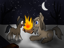 Size: 1600x1200 | Tagged: safe, artist:machacapigeon, imported from derpibooru, imported from ponybooru, oc, oc only, oc:blizzard hearth, oc:permafrost, earth pony, pony, /mlp/, brother and sister, female, fireplace, foal, male, mare, moon, siblings, snow, snow mare, snowpony (species), stars, taiga pony, wood, yakutian horse